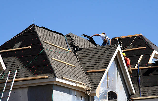Best Shingle Roofing Installation  in Brinkley, AR